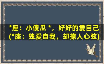 *座：小傻瓜 *，好好的爱自己(*座：独爱自我，却撩人心弦)